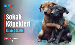 #Siz sokak köpeklerini bilmezsiniz!