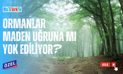 #Toprağın altındakiler, üstündekilerden daha mı değerli?