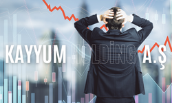 Dönerciden altın madenine: 770 Şirketin Sahibi Kim?