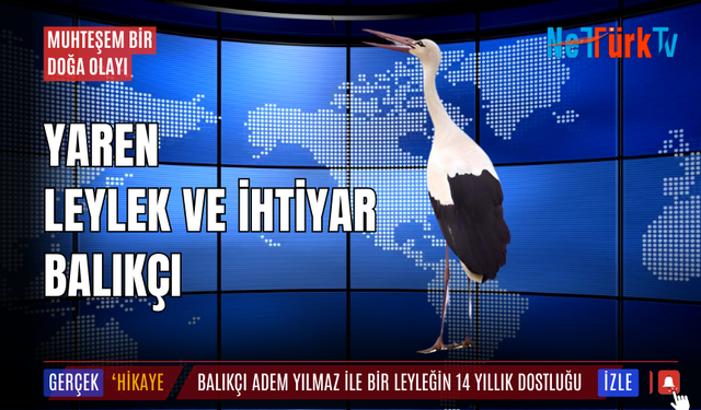 Yaren Leylek ve İhtiyar Balıkçı!