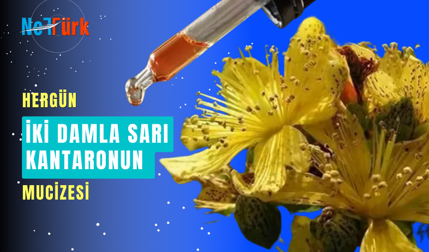 Doğal antidepresan ilaç gibi!