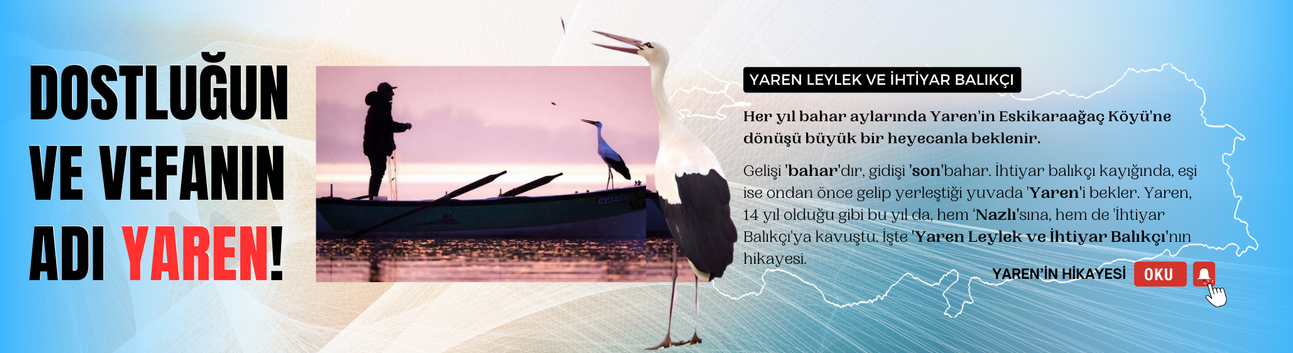 Yaren Leylek ve İhtiyar Balıkçı!